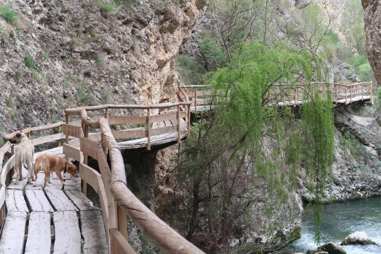 Alojamiento Rural Villa Baja - Кастриль Экстерьер фото